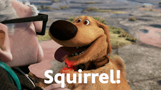 animation GIF by Disney Pixar