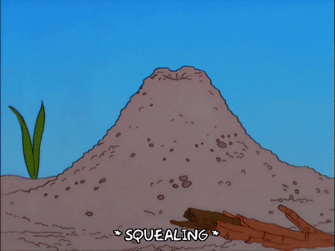 homer simpson episode 10 GIF