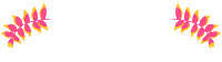 Decameronhotels Sticker by Hoteles Decameron