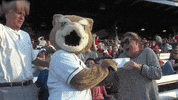 Hugs Gocougs GIF by Kane County Cougars