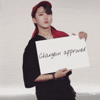 Skz Straykids GIF