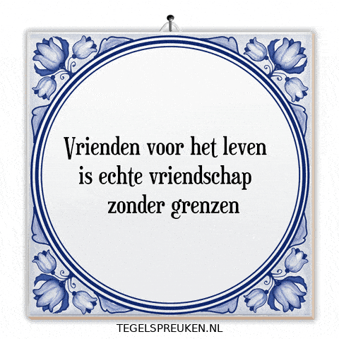 Humor Nl GIF by Tegelspreuken.nl