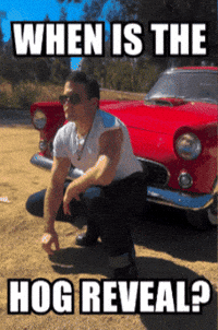 Greaser GIF