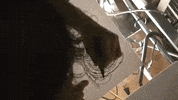 Animation Operate GIF by Alex Boya