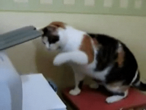 leohdz_Markiii giphyupload GIF