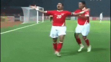 Timnas GIF by PSSI