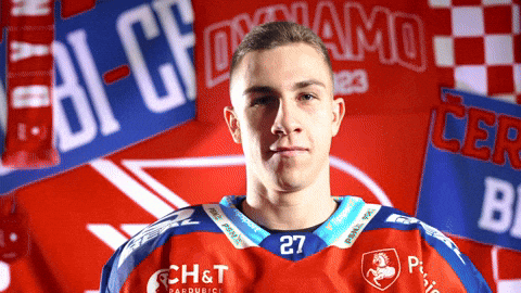 Robin Kaplan GIF by HC Dynamo Pardubice