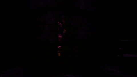 Vampire Dracula GIF by segalcentre
