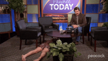 Any Dog Under 50 Pounds Is A Cat