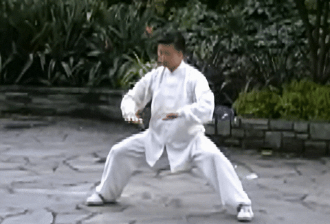 ParadoxTeapot giphyupload GIF