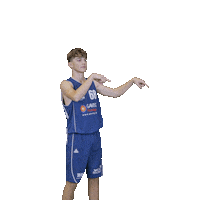 Bensheim Sticker by VfL Basketball