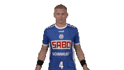 Handball-Bundesliga Sport Sticker by LIQUI MOLY HBL