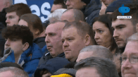Everton Watford GIF by MolaTV