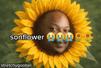 Flower Garden GIF