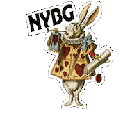 nybg wonderland white rabbit nybg Sticker