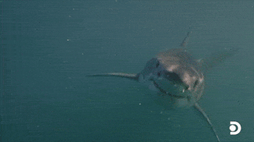 Lwazi Means Knowledge