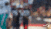 Football Celebration GIF by New England Patriots
