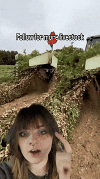 Follow For More China GIF