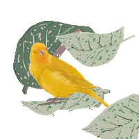 Amarillo Cantar Sticker