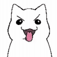 Cat Kitty GIF