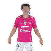 Football Sport Sticker by INDEPENDIENTE DEL VALLE