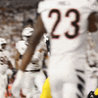 Excited Football GIF by Pittsburgh Steelers