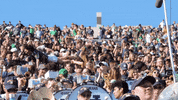 Notre Dame Fans GIF by Notre Dame Fighting Irish