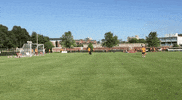 football soccer GIF by AS Roma