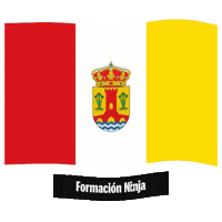 Castilla Y Leon Flag Sticker by Formación Ninja