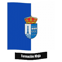 Castilla Y Leon Flag Sticker by Formación Ninja