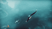 Art Loop GIF by Wired Productions