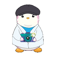 Photography Smile Sticker by Pudgy Penguins