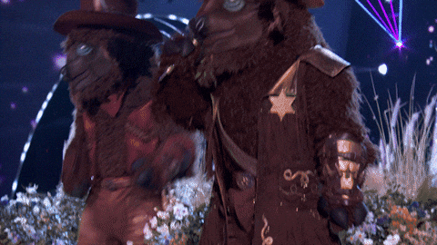 Themaskedsinger GIF by Reality Club FOX