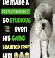 Learning GIF