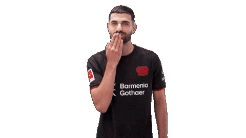 Bayer Leverkusen Kiss Sticker by Bundesliga