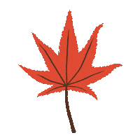 Autumn Leaves Japan Sticker