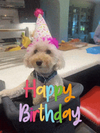 Happy Birthday Dog GIF by arielle-m