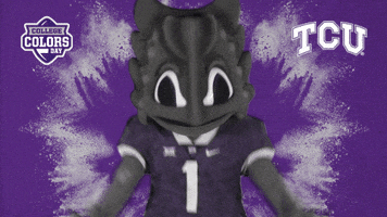 Excited College Sports GIF by College Colors Day