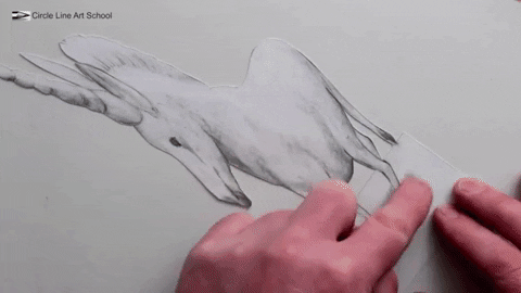 Unicorn Draw GIF by Circle Line Art School