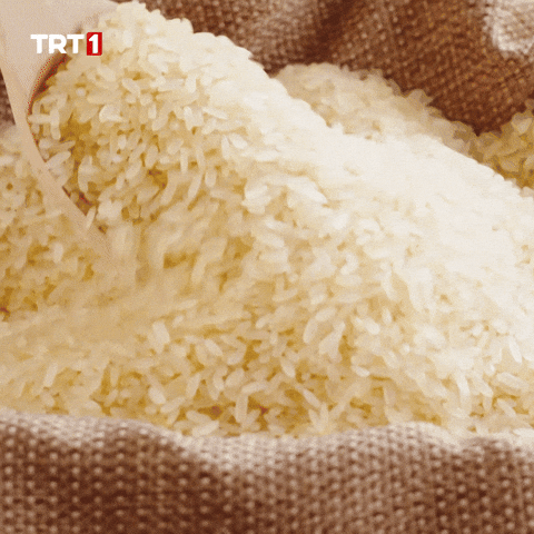 Fitness Diffuse GIF by TRT