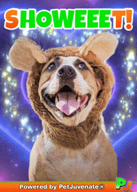 Showeet Sweeet Nice Pj Petjuvenate GIF by PetJuvenate - PJ