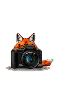 Fotografierbar shooting photographer foto fotograf Sticker