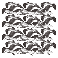 Birds Seagull Sticker by Outriders