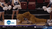 ncaasports ncaa volleyball ncaavb pennstate GIF