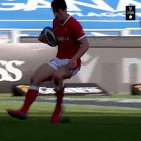 Wales Rugby Spin GIF by Guinness Six Nations