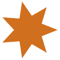 Star Shape Sticker