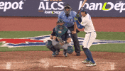 Home Run Celebration GIF by Toronto Blue Jays