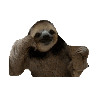 sloth hello STICKER by imoji