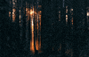 por do sol GIF