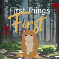 First Things First Christmas GIF by typix